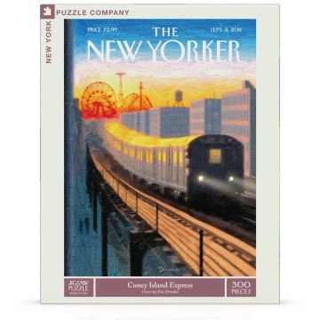 Coney Island Train Diagram Map Puzzle