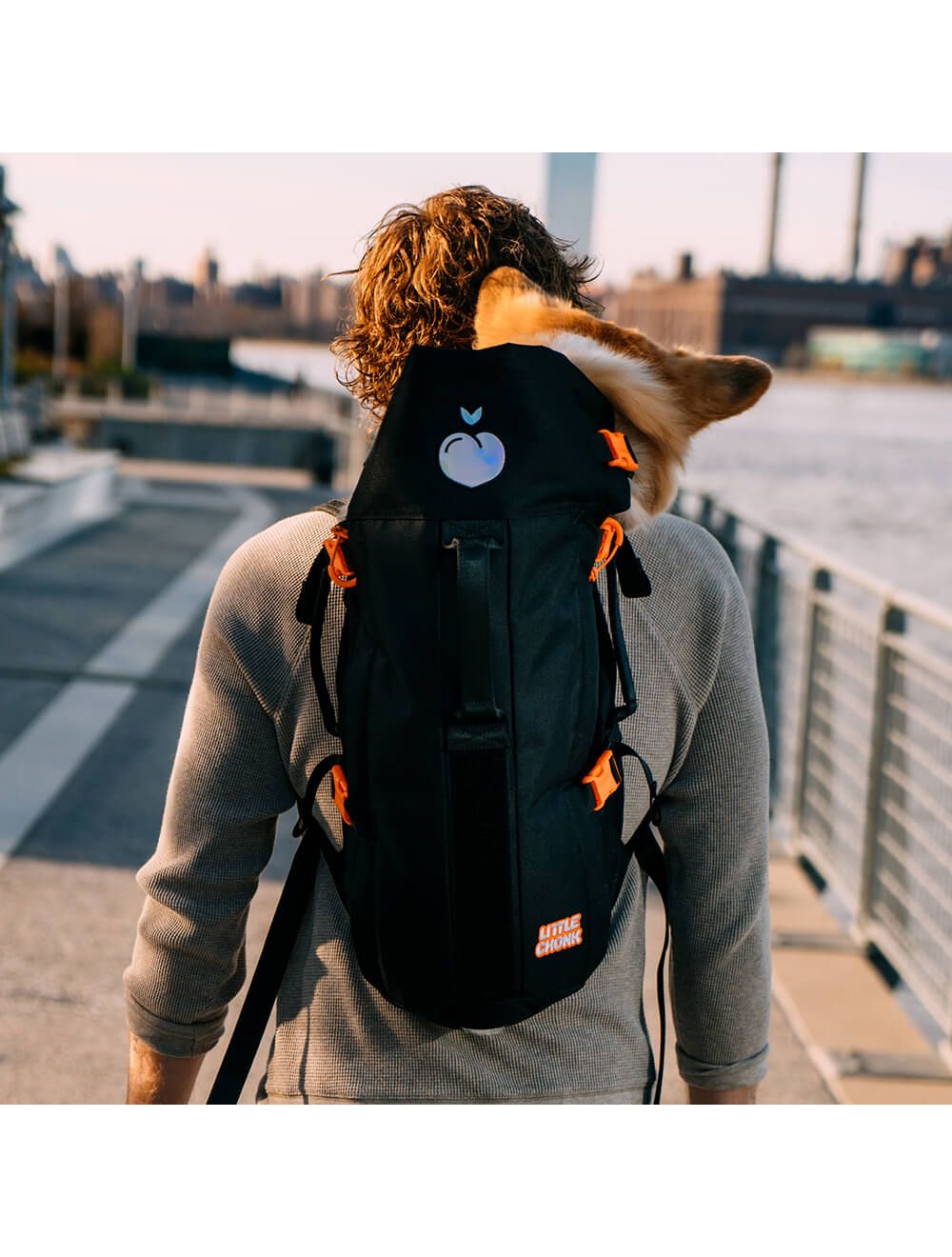 Little Chonk The Maxine One Review Carry Your Dog In A Backpack WIRED atelieryuwa.ciao.jp