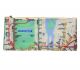 All-Over Map Flat Pencil Case