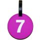 #7 Train Luggage Tag
