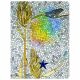 The Presence Notebook by Kiki Smith